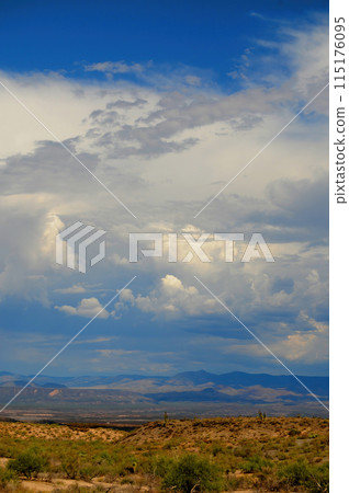 Central Sonora Desert Arizona Central Sonora Desert Arizona 115176095