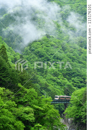 雨後火車穿過山上的一座橋 115176101