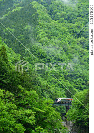 HC85系列特急「飛驒號」雨後過山橋 115176103
