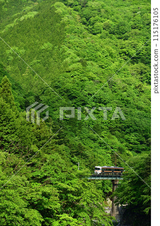 Train crossing a mountain bridge Train crossing a mountain bridge 115176105