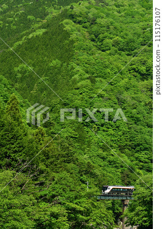 HC85系列特快「飛驒號」穿越山間橋樑 115176107