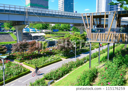 Seoul Rose Festival, Jungnang Rose Park [Korea/Jungnang-gu] 115176259