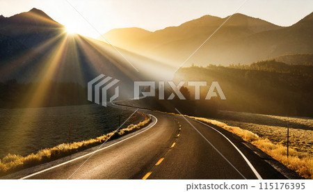 一條漫長的路，向著清晨的陽光延伸 115176395