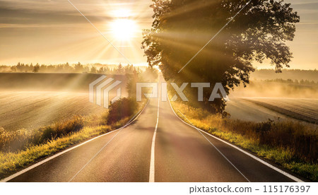 一條漫長的路，向著清晨的陽光延伸 115176397