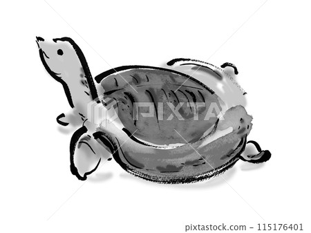 Hand-drawn Japanese-style brush illustration of a soft-shelled turtle 115176401