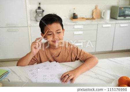 Schoolboy Enjoying Doing Math Homework Schoolboy Enjoying Doing Math Homework 115176998