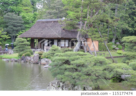 京都桂離宮松金亭和日本花園 115177474