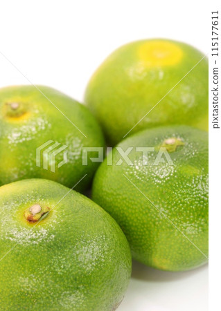 來自靜岡縣的 Wase Mikan Nishiura Mikan Izu 明亮的背景 115177611