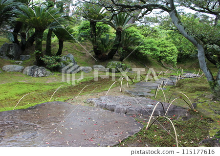 Kyoto Katsura Imperial Villa Japanese Garden Path Kyoto Katsura Imperial Villa Japanese Garden Path 115177616