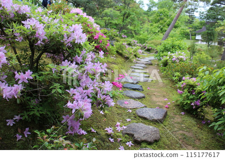 Kyoto Katsura Imperial Villa Japanese Garden Path 115177617