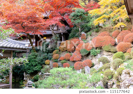 Nagaokakyo City, Kyoto Prefecture Nishiyama Yanagidani Temple (Yanagidani Kannon) Autumn leaves at Jodoen Nagaokakyo City, Kyoto Prefecture Nishiyama Yanagidani Temple (Yanagidani Kannon) Autumn leaves at Jodoen 115177642