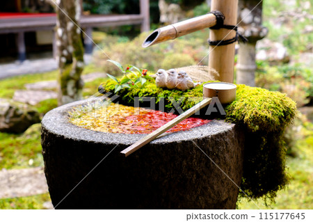 京都府長岡京市、西山、橫國寺（柳谷觀音）、紅葉庭園手福 115177645