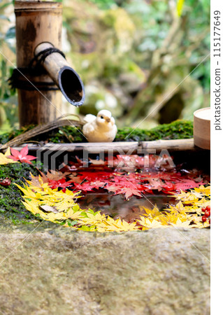 京都府長岡京市、西山、橫國寺（柳谷觀音）、楓愛水（心） 115177649
