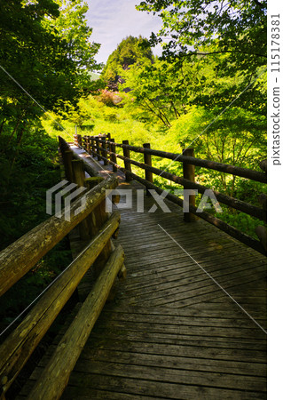 A wooden bridge leading to a mountain stream with fresh greenery A wooden bridge leading to a mountain stream with fresh greenery 115178381