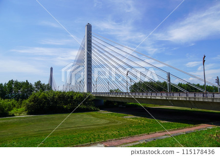 Tokachi Bridge (3-span continuous PC cable-stayed bridge) Tokachi Bridge (3-span continuous PC cable-stayed bridge) 115178436