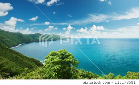 美麗的夏日風景 115178591
