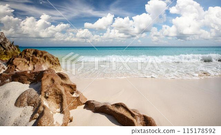 美麗的夏日風景 115178592