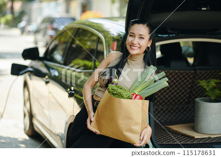Woman Putting Groceries in Trunk 115178631
