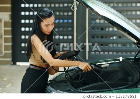 EV Owner Taking Charging Cable 115178651