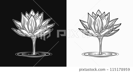 Blooming Lotus flower on stem rising from the water. Side view. Vintage illustration on black, white background. 115178959