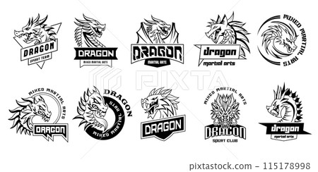 Dragon. Fight club badges with stylized dragon illustrations recent vector lizard pictures 115178998