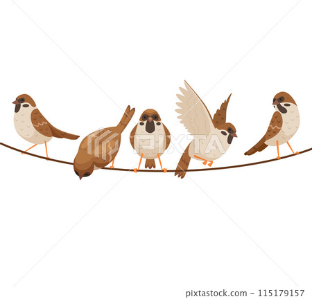 Sparrows group of birds sitting and flying vector cartoon sparrows Sparrows group of birds sitting and flying vector cartoon sparrows 115179157