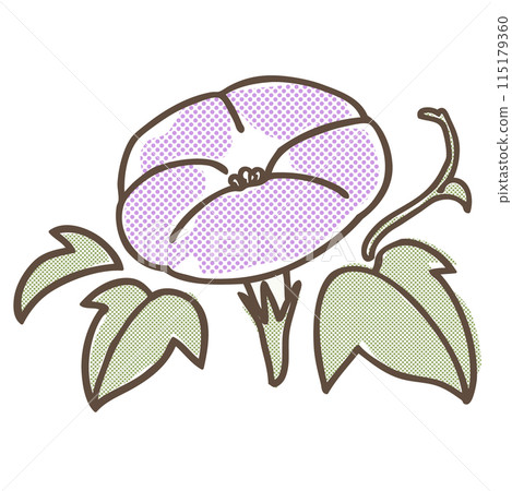 Pale purple morning glory - A simple illustration with a rough tone applied Pale purple morning glory - A simple illustration with a rough tone applied 115179360
