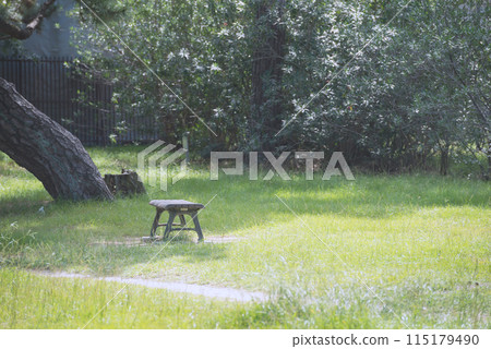 Scenery of Hamaji Park Scenery of Hamaji Park 115179490