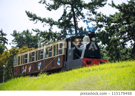 Hamaji公園的風景 115179498