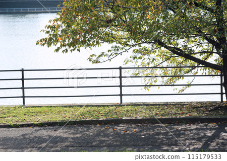 Scenery of Hamaji Park Scenery of Hamaji Park 115179533