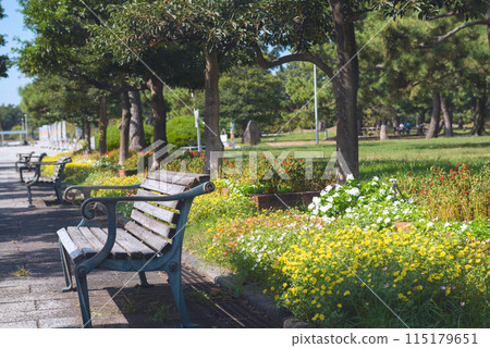 Hamaji公園的風景 Hamaji公園的風景 115179651