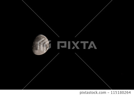 Nocturnal Shift Nocturnal Shift 115180264