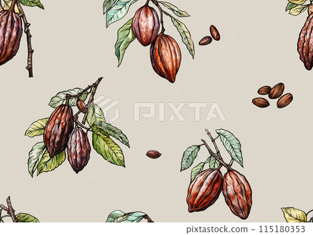Cacao Beans, chocolate. Vector illustration. In botanical style 115180353