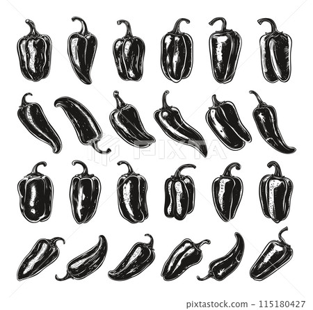 Doodle Style Peppers Icons Set. Hand Drawn Simple Style Black Icons on White Background. Bell Pepper Chili Jalapeno Habanero Cayenne Spice Ingredient Culinary Illustration Doodle Style Peppers Icons Set. Hand Drawn Simple Style Black Icons on White Background. Bell Pepper Chili Jalapeno Habanero Cayenne Spice Ingredient Culinary Illustration 115180427