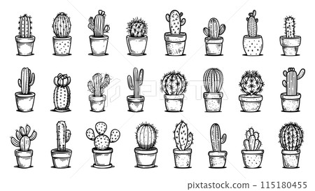 Doodle Style Cacti Icon Set. Cactus, Plant,... - Stock Illustration  [115180455] - PIXTA