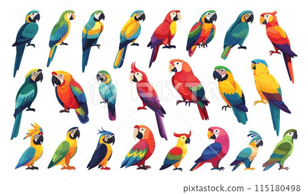 Cartoon Different Types of Parrots Icons Set. Simple Vector Cartoon Style. White Background. Exotic Birds Tropical Feathered Wildlife Avian Pet Illustration 115180498