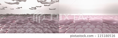 Skin dry dead cells exfoliation process. 3D render of stylized skin layers before and after chemical peeling, laser resurfacing, microdermabrasion, or action of skin exfoliating cosmetic products Skin dry dead cells exfoliation process. 3D render of stylized skin layers before and after chemical peeling, laser resurfacing, microdermabrasion, or action of skin exfoliating cosmetic products 115180516