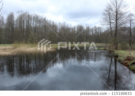 Autumn landscape, river, forest, gray sky on the bank of the river. Gloomy gray autumn landscape Autumn landscape, river, forest, gray sky on the bank of the river. Gloomy gray autumn landscape 115180633