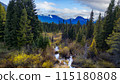 Vibrant trees in forest with mountains in background. Canadian Nature Landscape. 115180808