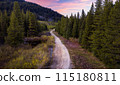 Dirt Road by Vibrant trees in forest with mountains in background. Canadian Nature Landscape. Sunset 115180811