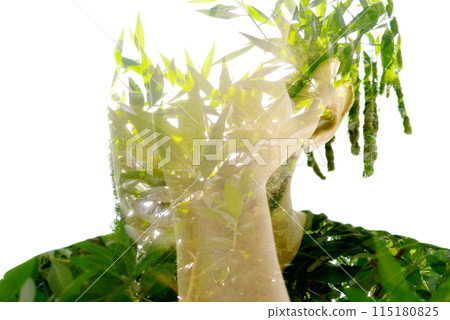 A double exposure portrait of a man merged with a photo of green leaves 115180825