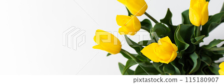 Bouquet of yellow tulips 115180907