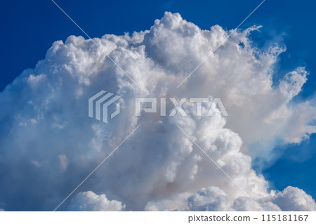 Controlled hazard reduction burning of trees and bushland in the Blue Mountains 115181167