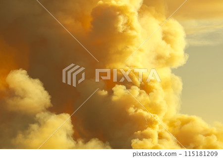 Controlled hazard reduction burning of trees and bushland in the Blue Mountains Controlled hazard reduction burning of trees and bushland in the Blue Mountains 115181209