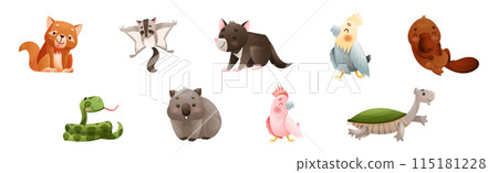 Cute Australian Animals and Endemic Fauna Vector Set 115181228