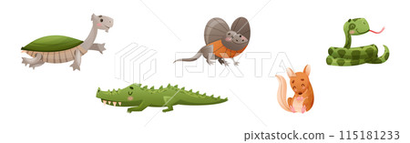Cute Australian Animals and Endemic Fauna Vector Set 115181233