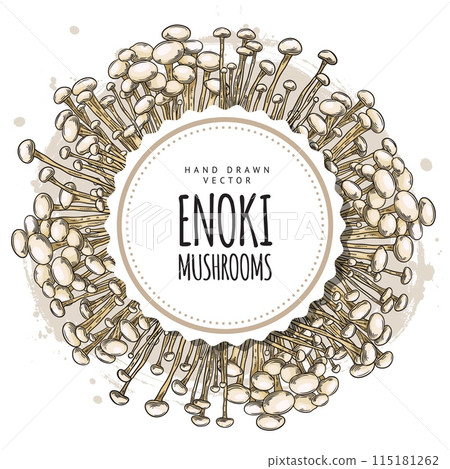 Enoki mushroom vector frame for healthy food advertising. Enoki mushroom vector frame for healthy food advertising. 115181262