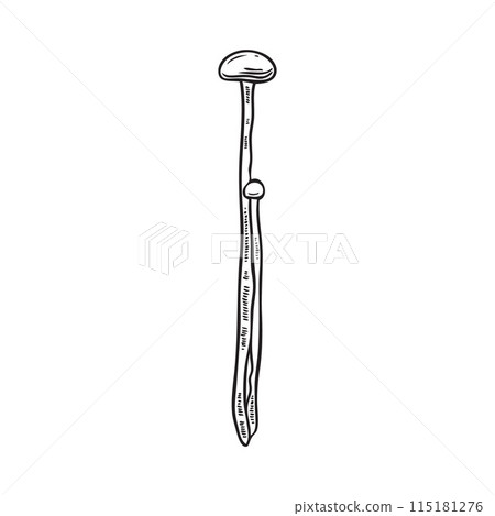 Enoki's organic vector illustration, a hand-drawn sketch on a pure white background 115181276