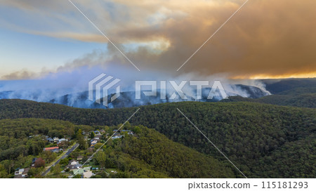 Controlled hazard reduction burning of trees and bushland in the Blue Mountains 115181293