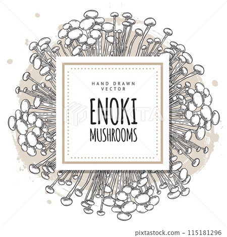 Vector poster with an empty place for text on the background of enoki mushrooms in the sketch style. Vector poster with an empty place for text on the background of enoki mushrooms in the sketch style. 115181296